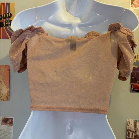 Windsor Shimmering Blouse in Rose Gold - Picture 2 of 4